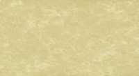 Plan de travail en Silestone, coloris Tigris Sand